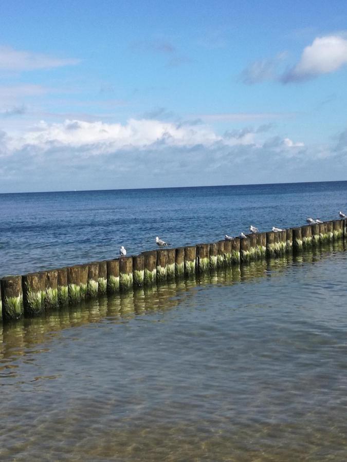 Ferienbungalow Ancora In Koserow Dış mekan fotoğraf